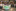 Galliker Green Logistics Day 2026 - Focus on peopl...
