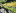 LKW Tessin 26-2180x1762